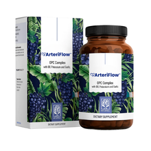 ArteriFlow